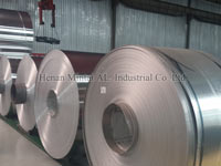 Container Foil Jumbo Roll (Alloy 8011/8006/3003)